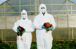 H7N9
