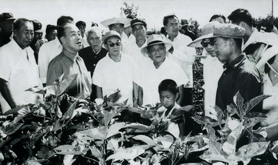 邓小平、王震赴疆视察