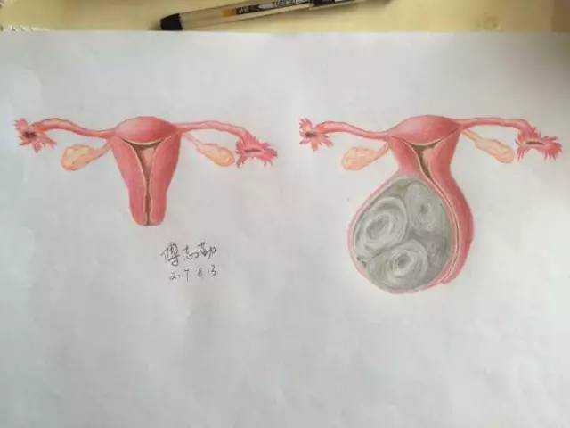 鿴ͼ